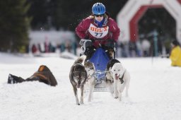 Lenzerheide 2013